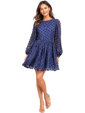Corey Lynn Calter The Divine Dress Women's Large Jacquard Blue Long Sleeve NEW